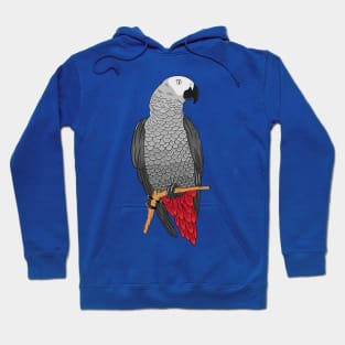 African grey parrot cartoon illustration Hoodie